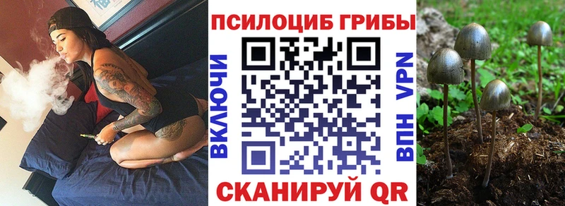Галлюциногенные грибы ЛСД Задонск